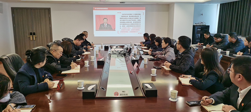 集團(tuán)黨委委員、副總經(jīng)理賀維維同志講授專題黨課