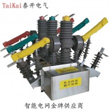 供應(yīng)ZW32-12GG戶外雙電源全自動(dòng)轉(zhuǎn)換真空斷路器