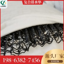 長(zhǎng)絲復(fù)合排水網(wǎng)排水帶，波型三維復(fù)合排水網(wǎng)隧道用W型排水網(wǎng)墊