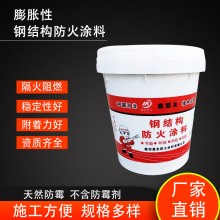 鋼結構防火涂料 室內(nèi)外防火涂料 薄型超薄型防火涂料 防火漆 油性